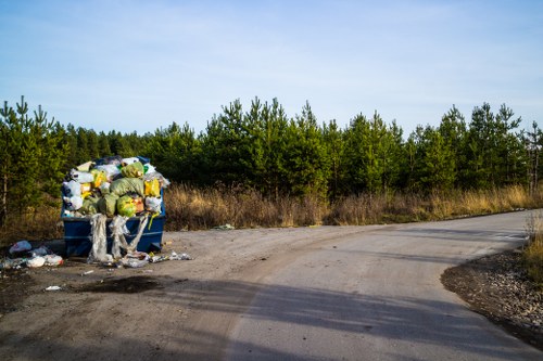 Skip Hire services in Anerley