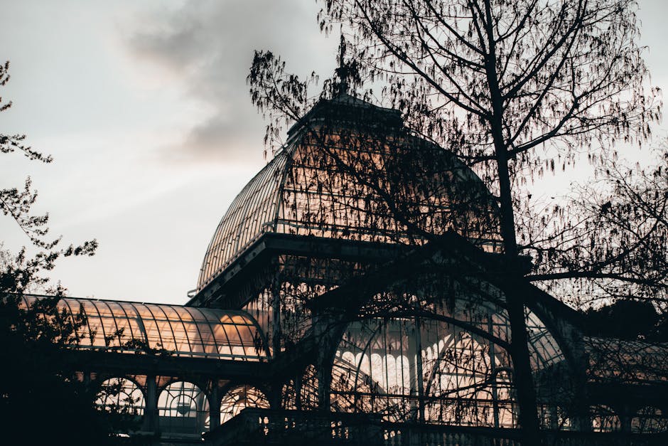 The image depicts a large glass greenhouse structure with an arched roof, constructed with metal framing and transparent glass panels. The structure is situated outdoors, surrounded by several leafles