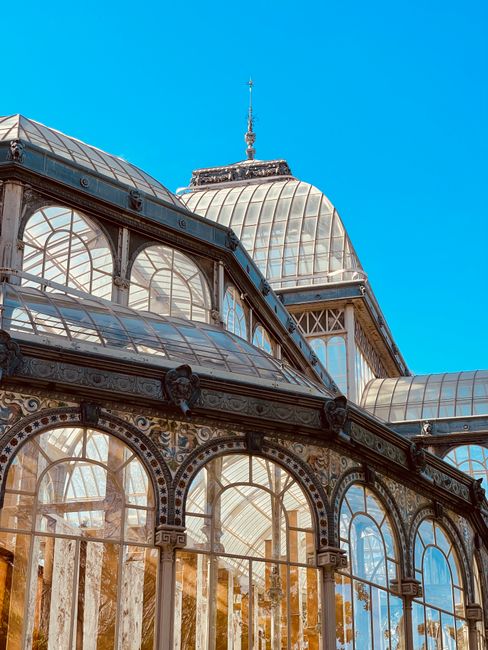 The image depicts a large glass greenhouse structure with an arched roof, constructed with metal framing and transparent glass panels. The structure is situated outdoors, surrounded by several leafles